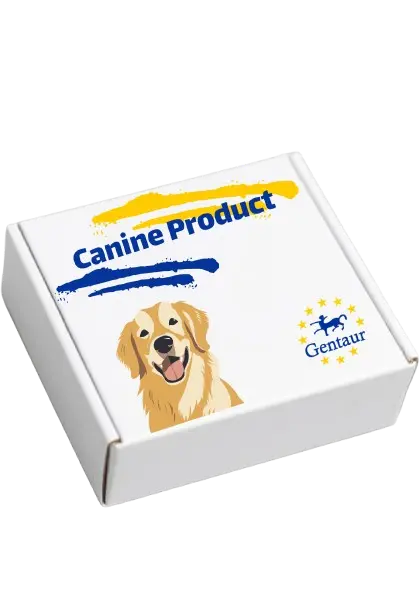 TSH elisa kit :: Canine Thyroid Stimulating Hormone (TSH) ELISA Kit - 96 Tests