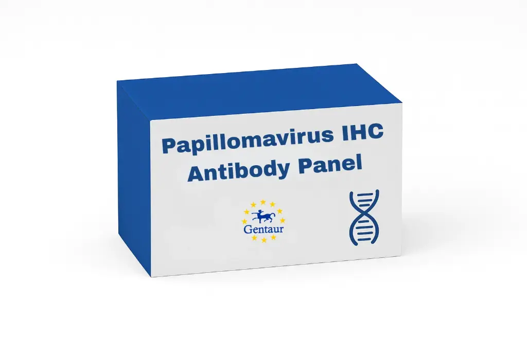[R-0005] Papillomavirus IHC Antibody Panel