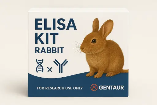 Rabbit PLB1 ELISA Kit