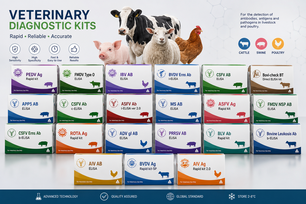 [ES-ASF-05] ASFV Ab i-ELISA ver 2.0