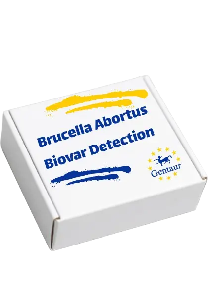 [CSB-CF685099BWS] ELISA  Recombinant Brucella abortus biovar 1 NADH-quinone oxidoreductase subunit K(nuoK)